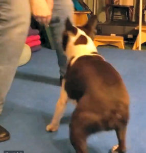 Booker chases Fran.