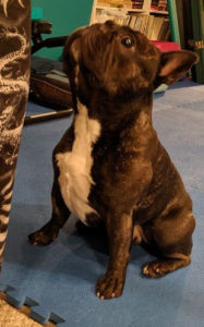 Torque knows how to "Front!"