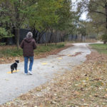 Let's go for a walk