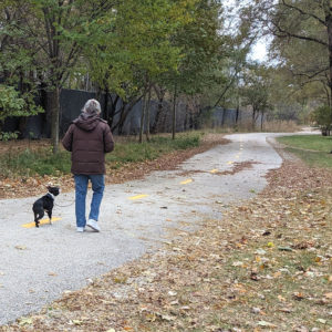Let's go for a walk