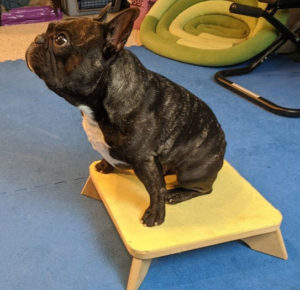 Torque starts with a sit on the stool.