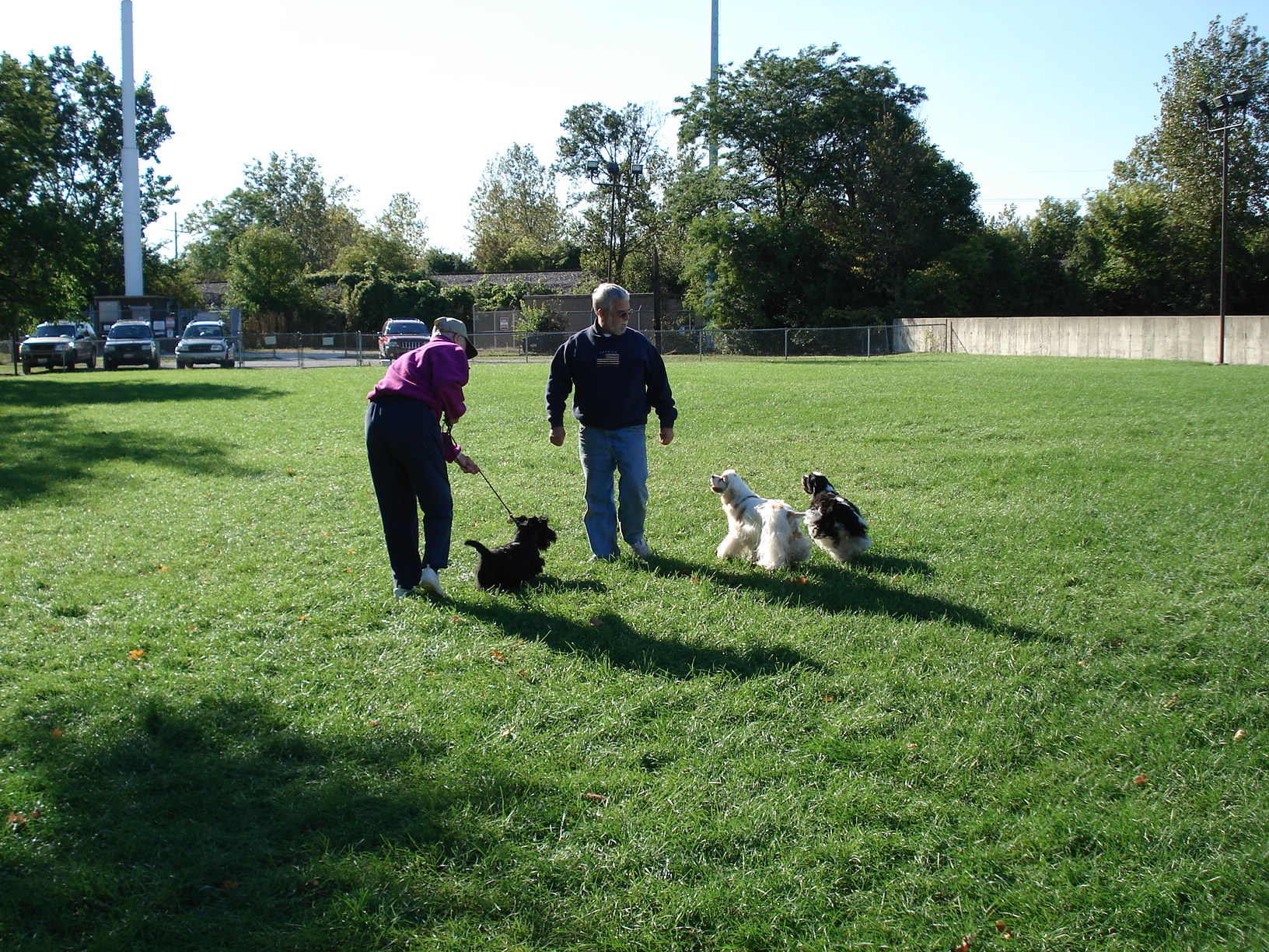 Does your dog need "dog friends?" 2 Minute Trainer