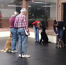 Check out a training class so you can look out for your dog!
