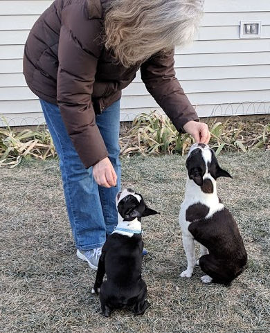 Fran taught the dogs to sit and say hello.