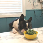 Simon doing his version of counter-surfing