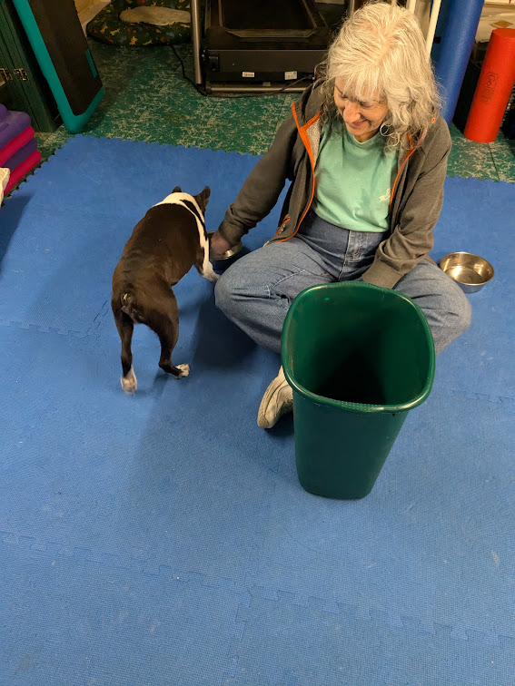 Booker got it right - a treat goes in the bowl.