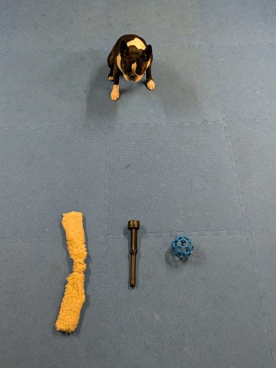 Dog Training Game – Trade Ya