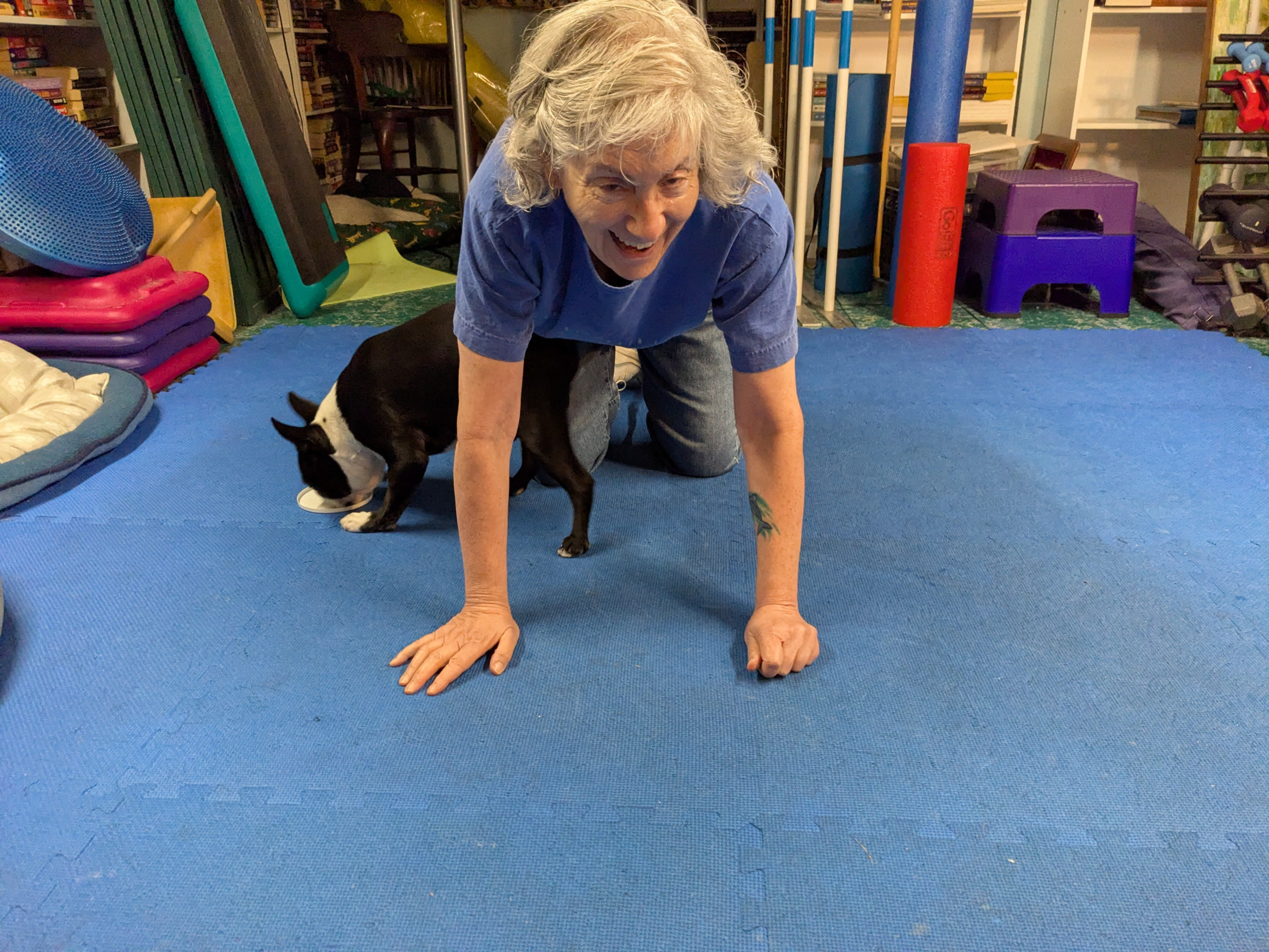 Dog Training Game – Under