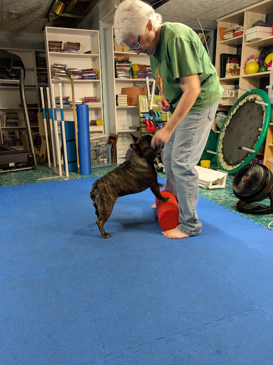 Training Game: On and Off