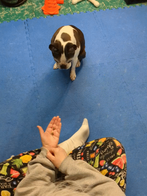 Whatcha gonna do in practice