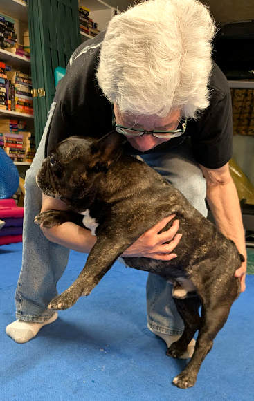 Tired of the Nail Trim Battle? Install a “Start Button” in Your Dog